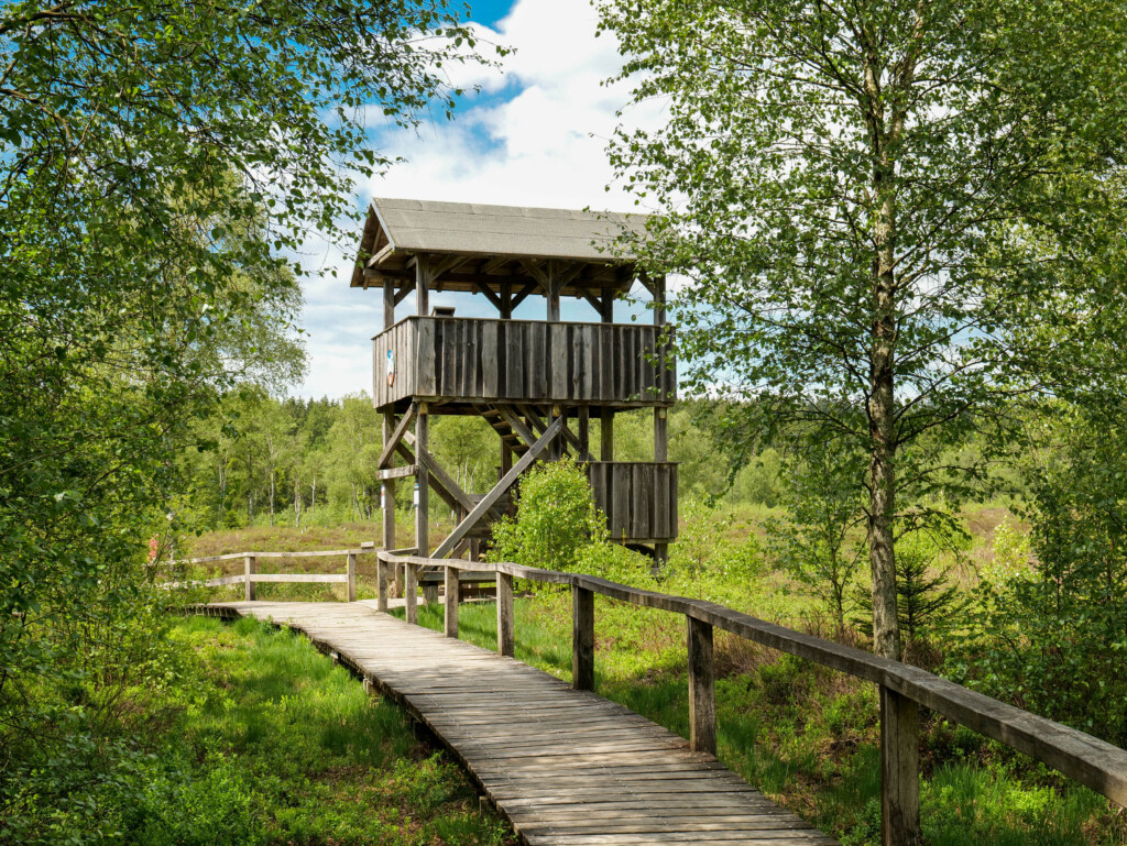 Foto: Thomas Meier Foto: Thomas Meier